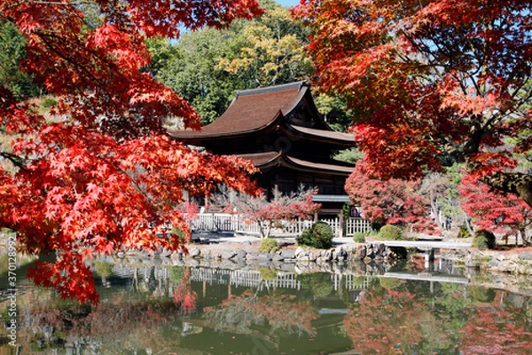 Fototapeta 虎渓山永保寺の紅葉　(岐阜県多治見市)