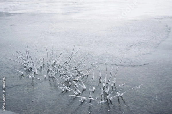 Obraz erstarrte Natur