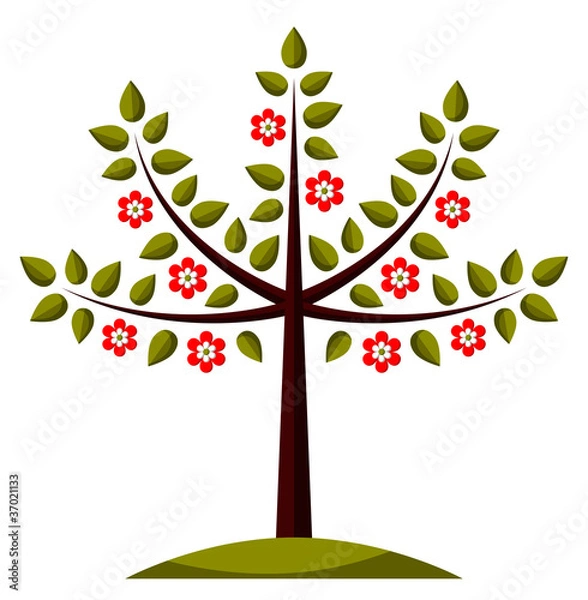 Obraz flowering tree