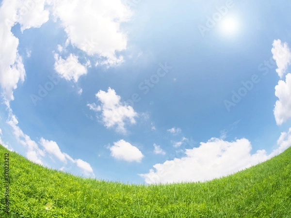 Obraz 草原と青空に浮かぶ雲 (魚眼Ver)