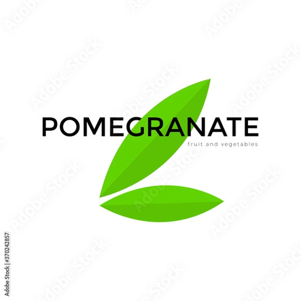 Fototapeta Pomegranate leaf vector 
