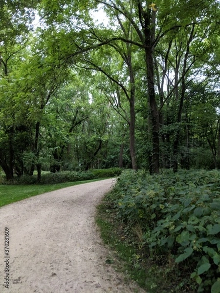 Obraz path in the park