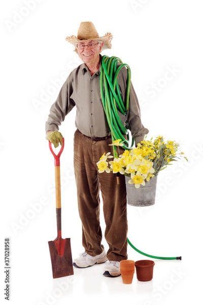 Obraz Happy Senior Gardener