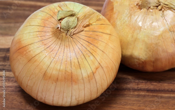 Obraz Macro of a Vidalia Onion or sweet onion, selective focus on top.
