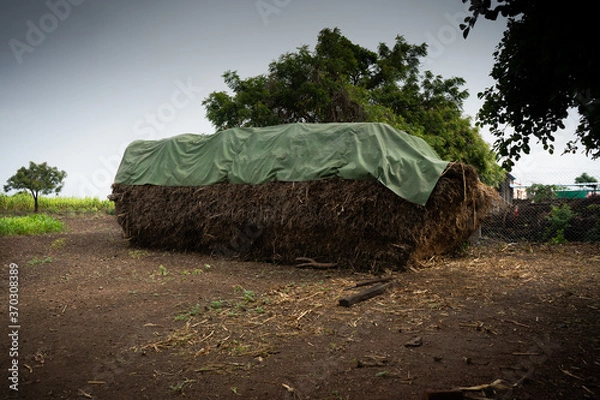 Obraz Indian Farming 