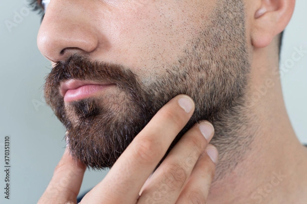 Fototapeta Close up of young bearded man touching his beard while standing against gray background