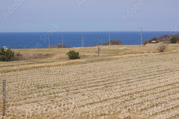 Fototapeta 日本の田舎の島の田園風景