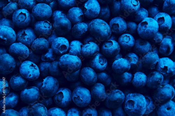 Fototapeta Blurry image of blueberries. Berries background. Abstract food background.