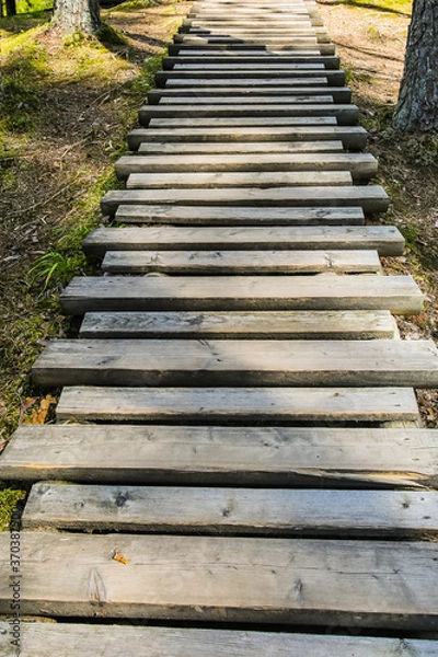Obraz Sunlit boardwalk in the forest