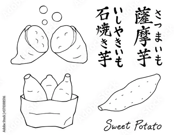 Obraz 薩摩芋と石焼き芋のセットの輪郭線