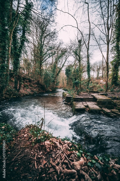 Obraz Cotswold sunset