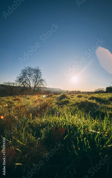 Obraz Cotswold sunset