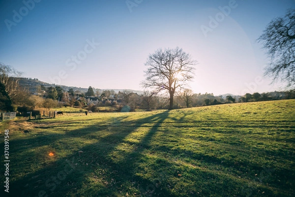 Obraz cotswolds landscape