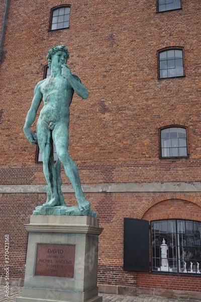 Obraz David In Denmark
