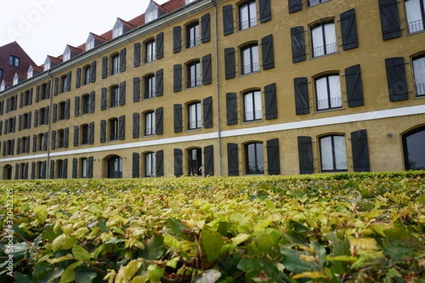 Obraz old building with flowers