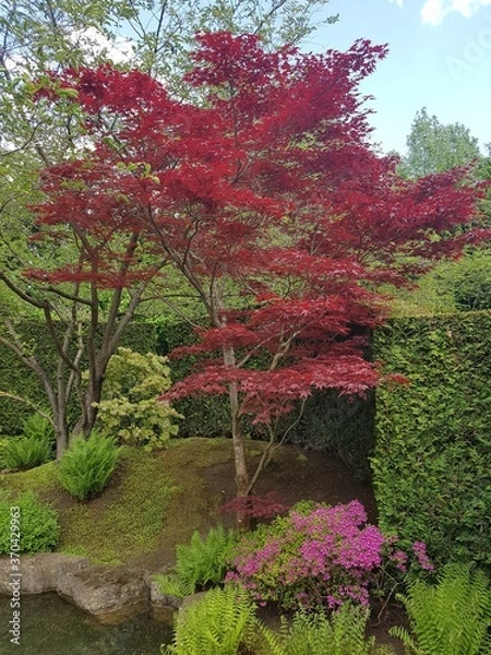 Obraz Chinesischer Garten