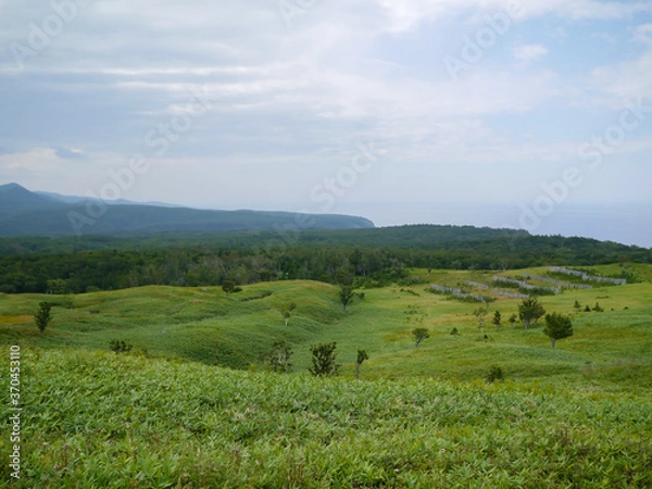Fototapeta 北海道知床半島の大自然