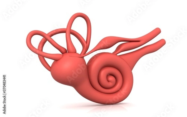 Obraz 3D illustration of inner ear . Cochlea in color background