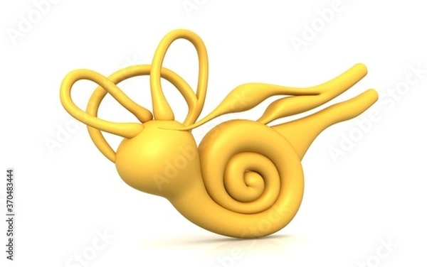 Obraz 3D illustration of inner ear . Cochlea in color background