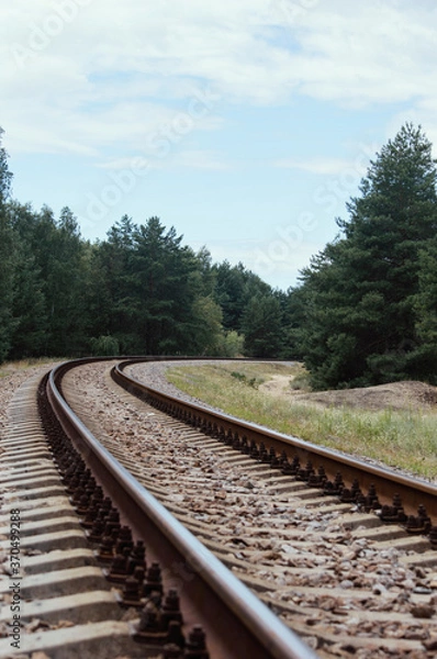 Fototapeta The railroad tracks in the forest. Empty rail track surrounded by trees.