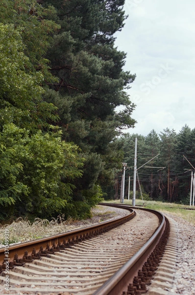 Fototapeta The railroad tracks in the forest. Empty rail track surrounded by trees.