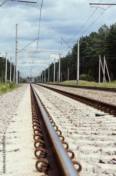 Fototapeta The railroad tracks in the forest