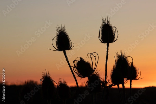 Fototapeta coucher de soleil
