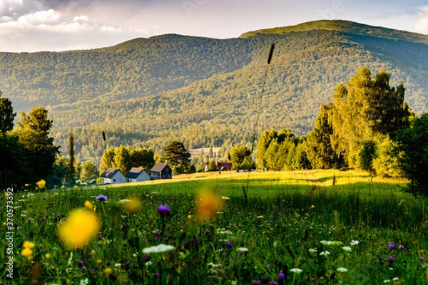 Obraz Bieszczady latem