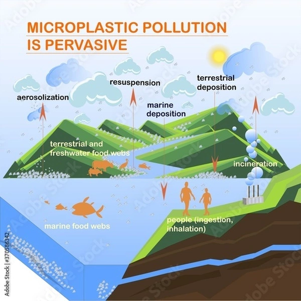Obraz Microplastic pollution is pervasive banner, flats design element vector illustration for ecology education