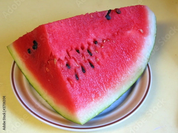 Obraz Watermelon
