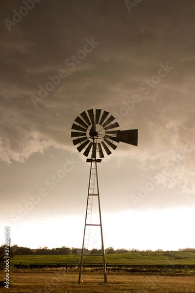 Obraz windmill in the field