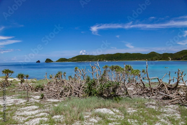 Obraz 沖縄の離島