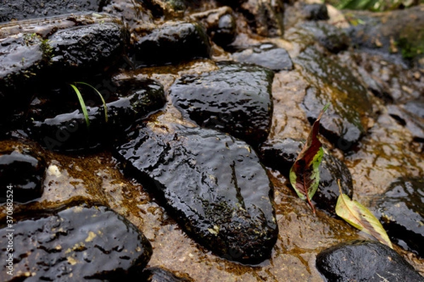 Obraz stream and stones