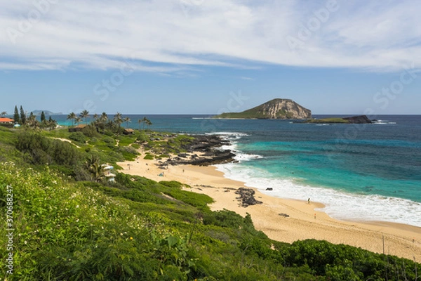 Obraz Beautiful coast of Hawaii, Oahu, in sunny summer day