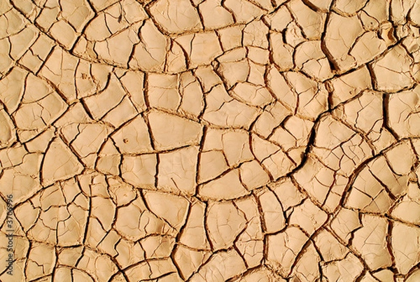 Fototapeta forme d'un poisson sur le sol Saharien
