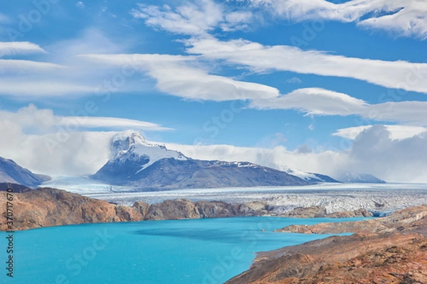 Fototapeta Calafate