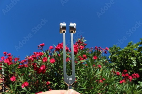 Obraz diapason thérapeuthique médecin non conventionnelle