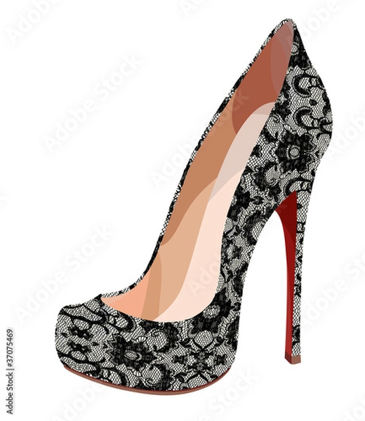 Obraz Elegant lace shoe