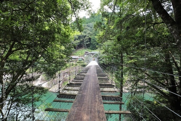 Obraz 吉野熊野国立公園　瀞峡