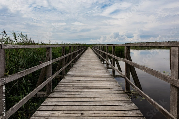 Obraz Long Empty Wooden Boardwalk By Reeds Over Federsee