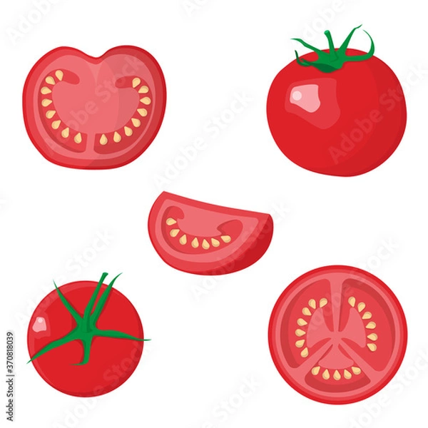 Fototapeta Slicing different slices of fresh tomato. Vector