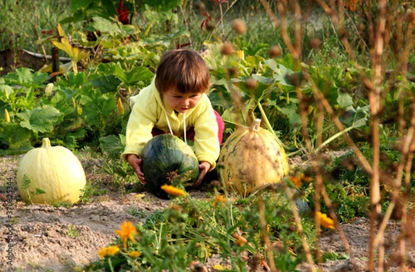Obraz a little girl and a crop