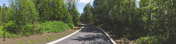 Fototapeta Footpath in the park. pathway with curbstone. green plants and trees. panoramic view