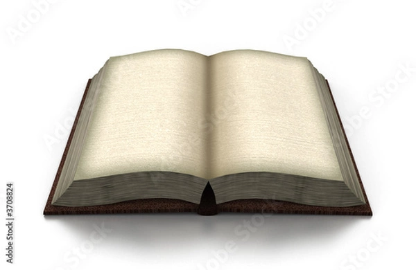 Obraz old open book