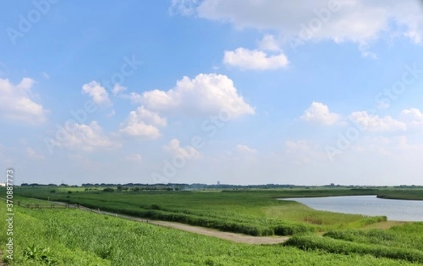 Fototapeta 春　さわやか　渡良瀬　空　風景　栃木