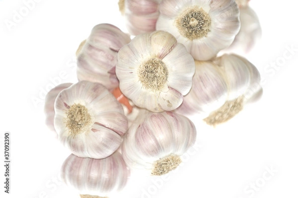 Fototapeta Knoblauch