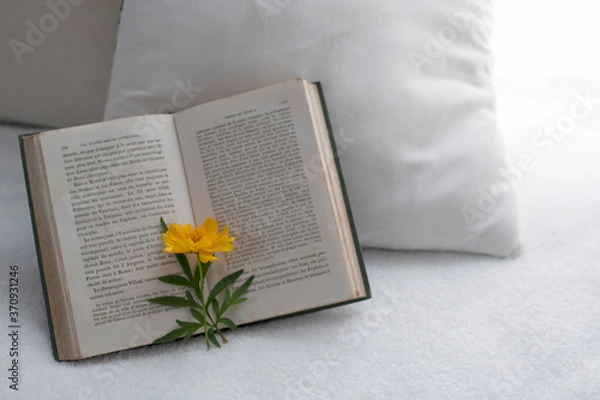 Obraz 洋書と休日カフェリラックスタイム