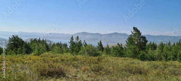 Obraz Pine trees in the mountains, lake, forest.