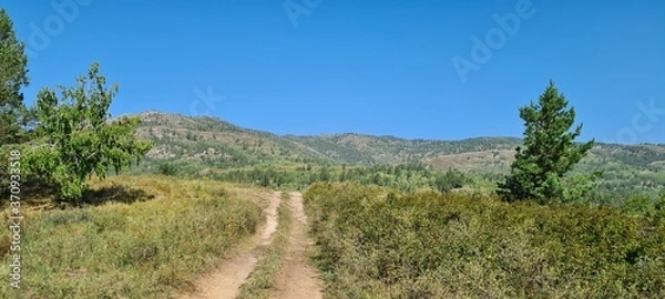Obraz Natural landscape. Path in the forest. The mountains.