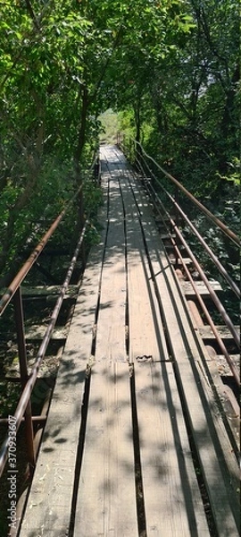 Obraz Old wooden bridge over the ravine.
